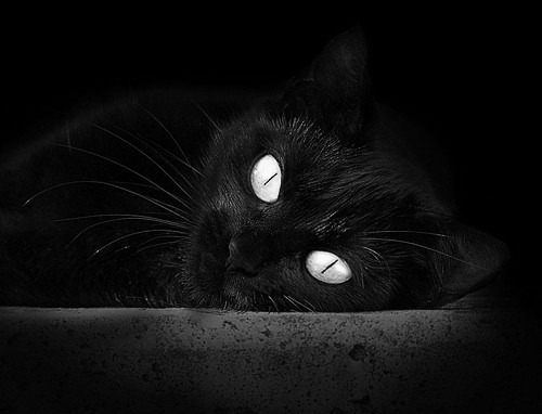 _热火防守固若金汤,赢得胜利_,热火战术