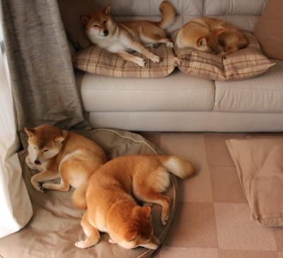 _疫情后首次线下大赛,观众热情高涨_,疫情期间线上线下的挑战