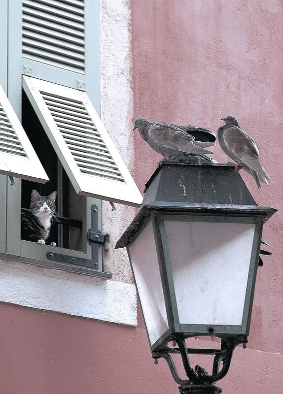 开云体育-“英超超级对决：豪门激战，争夺榜首宝座”，英超经典对决