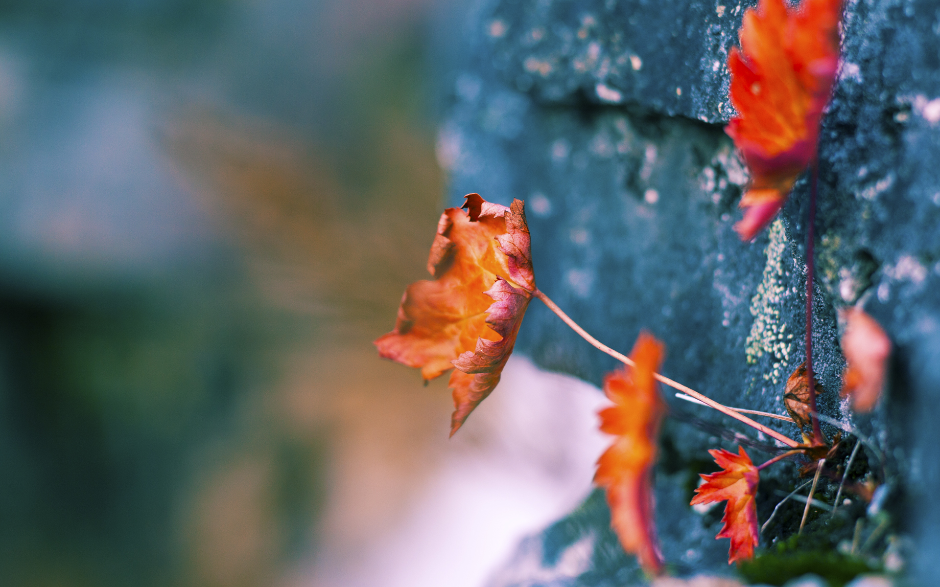 开云官方-克罗地亚队在巴黎奥运会手球比赛中多次通过二次进攻得分，克罗地亚 队