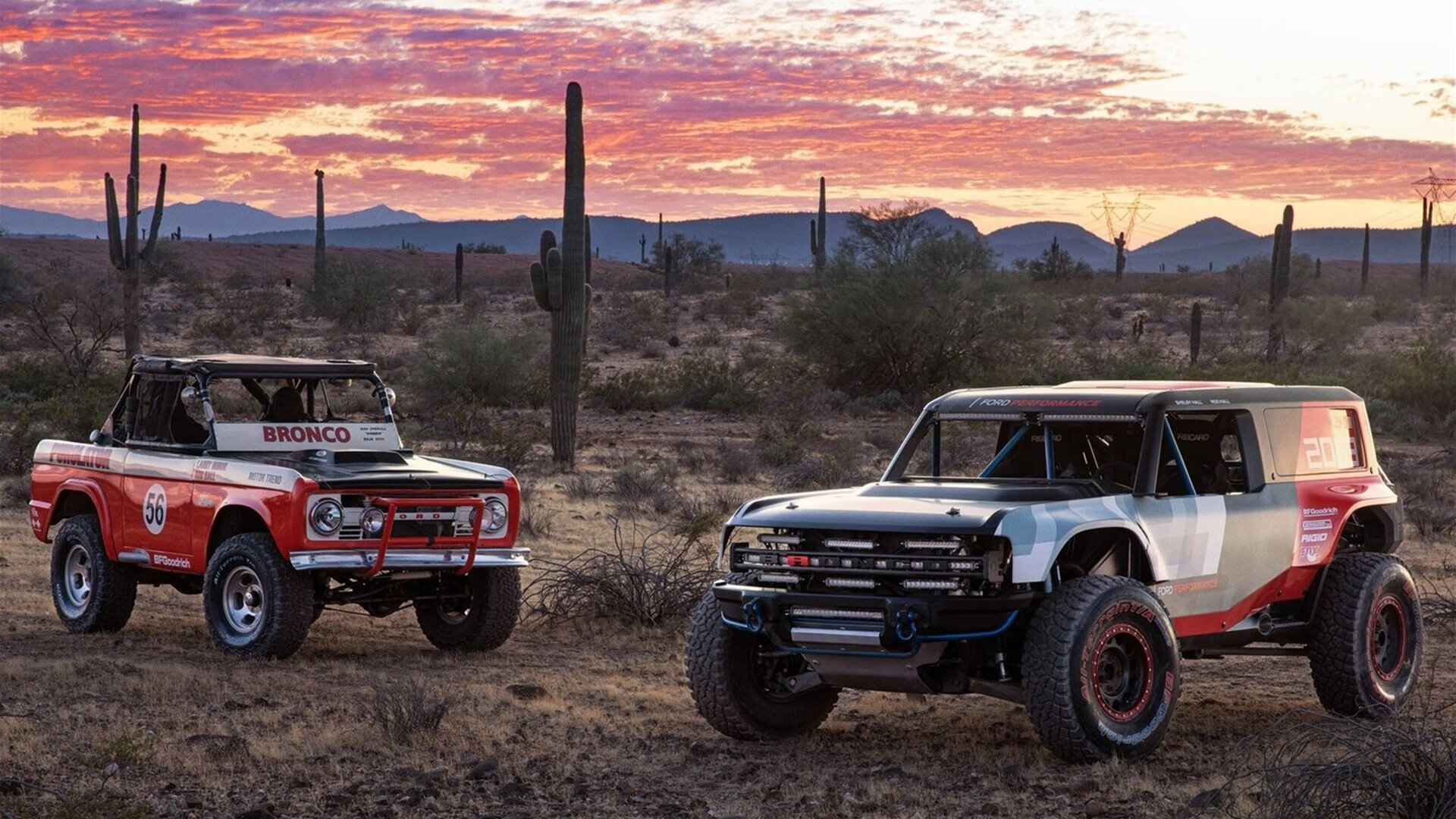 开云官网APP下载-在校园推广瑜伽，提升学生身心健康，在校园推广瑜伽,提升学生身心健康的方法