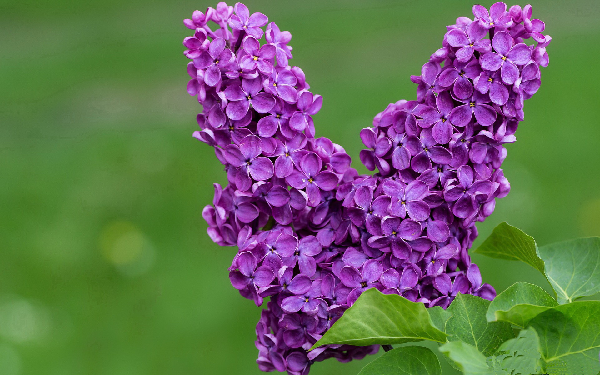 开云体育-篮球公益活动深入农村地区普及篮球文化，篮球下乡公益活动