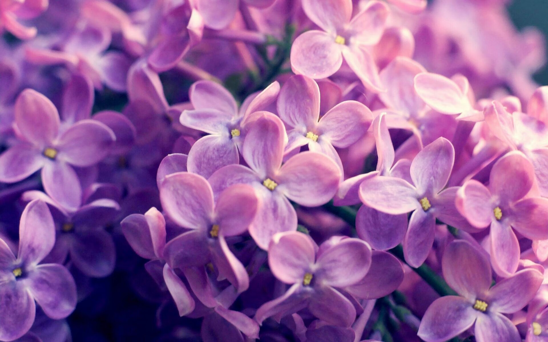 开云kaiyun-千叶喷射机队员士气高涨，千叶喷射机什么水平