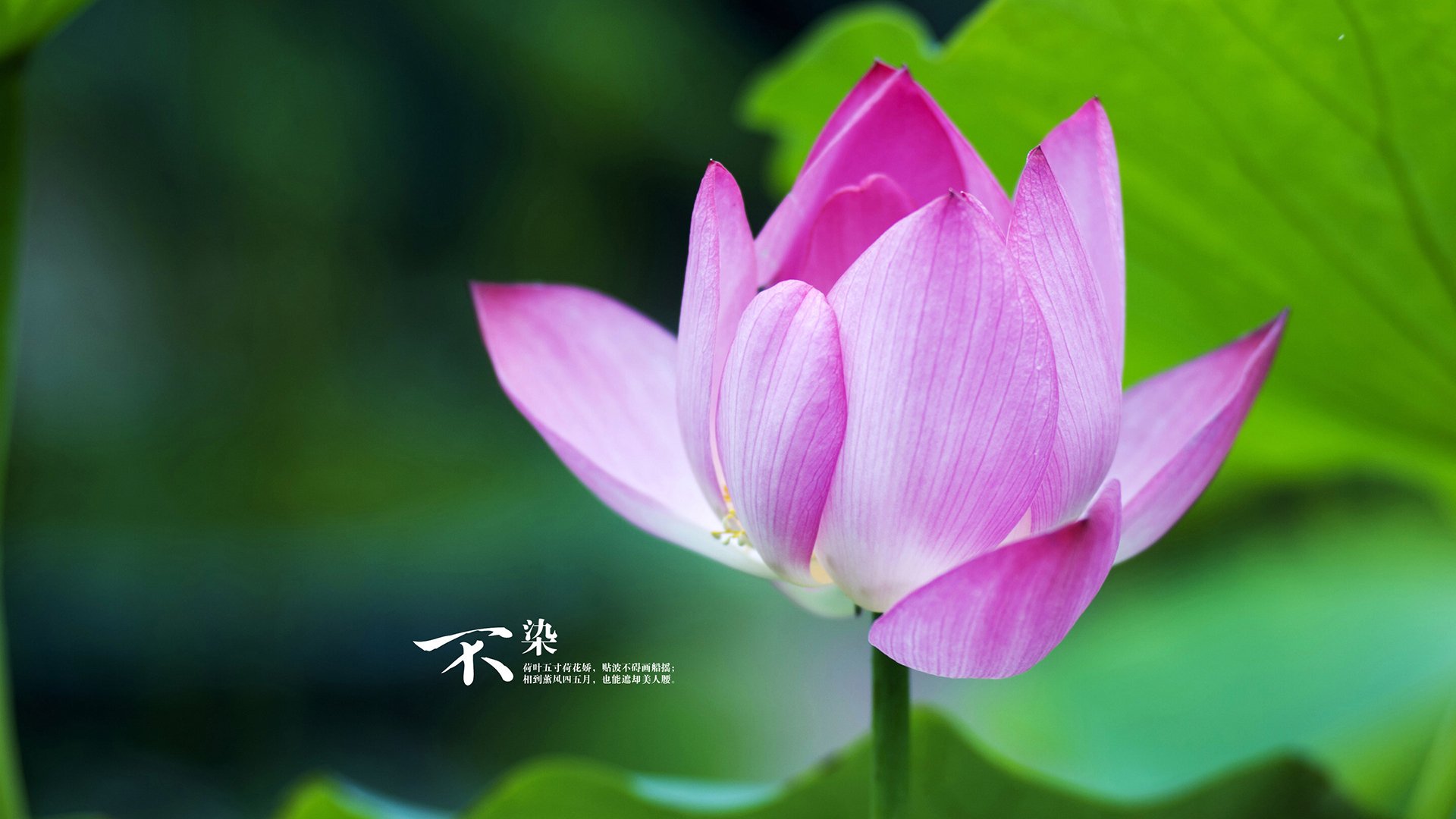 哈登是否还在联盟顶级控卫行列,哈登是否出战