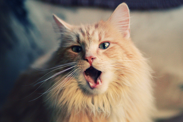 开云·体育官网-国足中场配合默契，创造力持续提升，中国足球配合