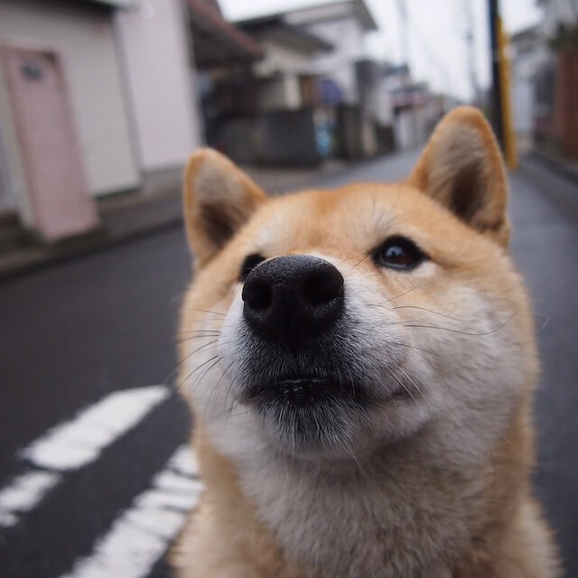 是否应鼓励球员创建专属城市品牌形象