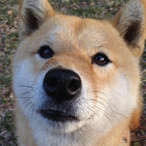电竞职业选手体能训练与营养配比科学化研究，职业电竞选手的训练时间