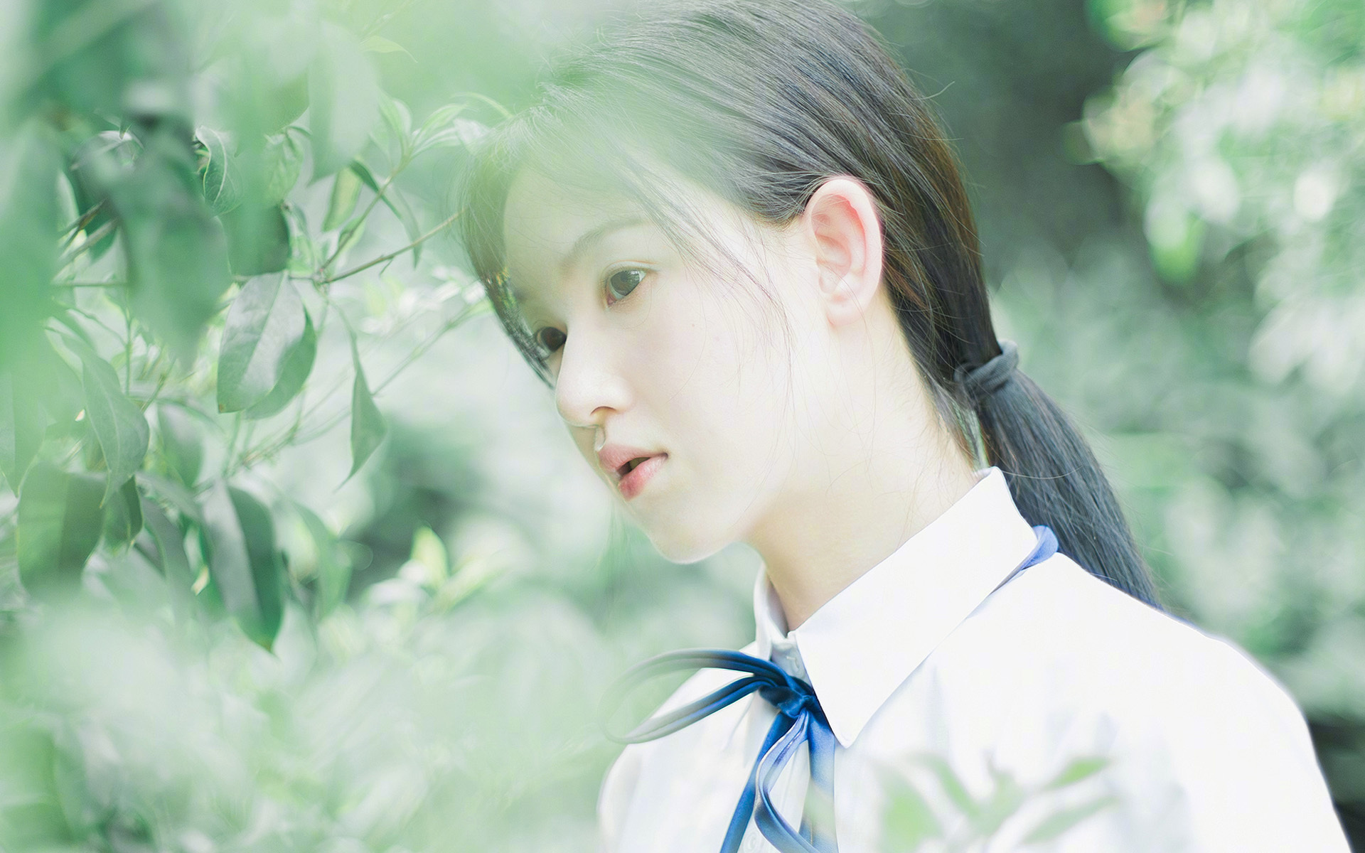 足球风云再起,女子球员再创辉煌,足球女士