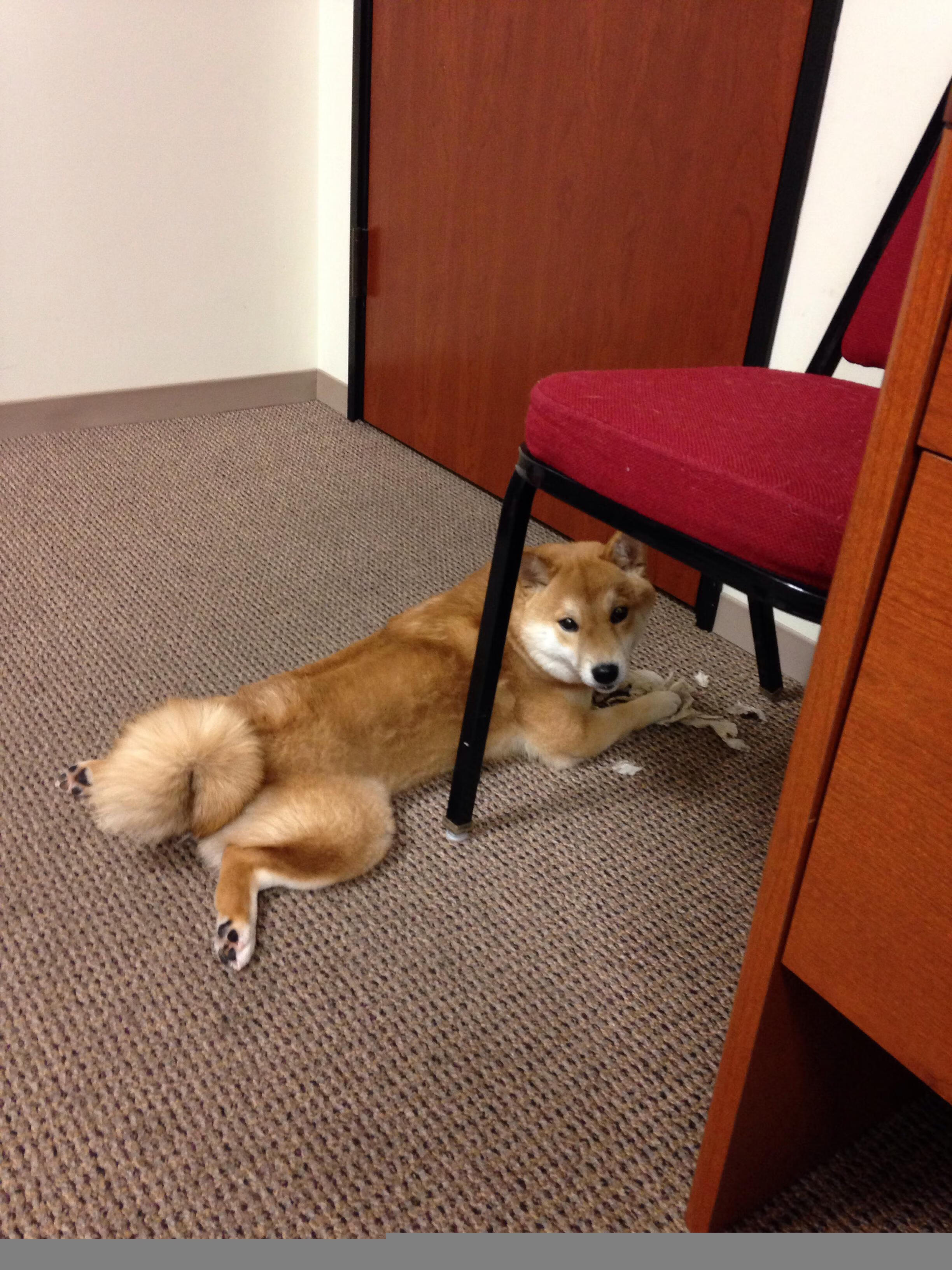 Kaiyun APP-阿尔巴塞特退步，颓势难挽，困难重重，巴萨 阿尔特塔