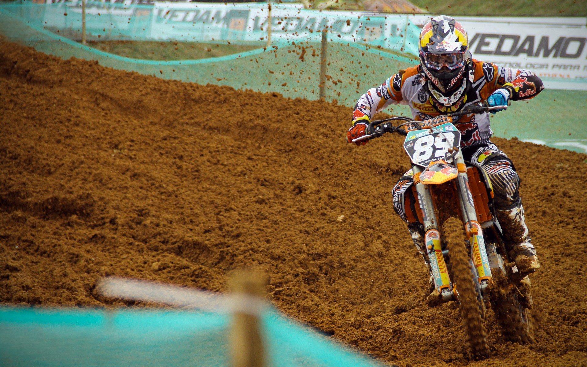 霍芬海姆主场守住胜利,继续保持稳定,霍芬海姆球迷站