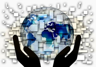 开云官网APP下载-中国篮球青训体系课程体系优化方案，青训篮球课程教案大全