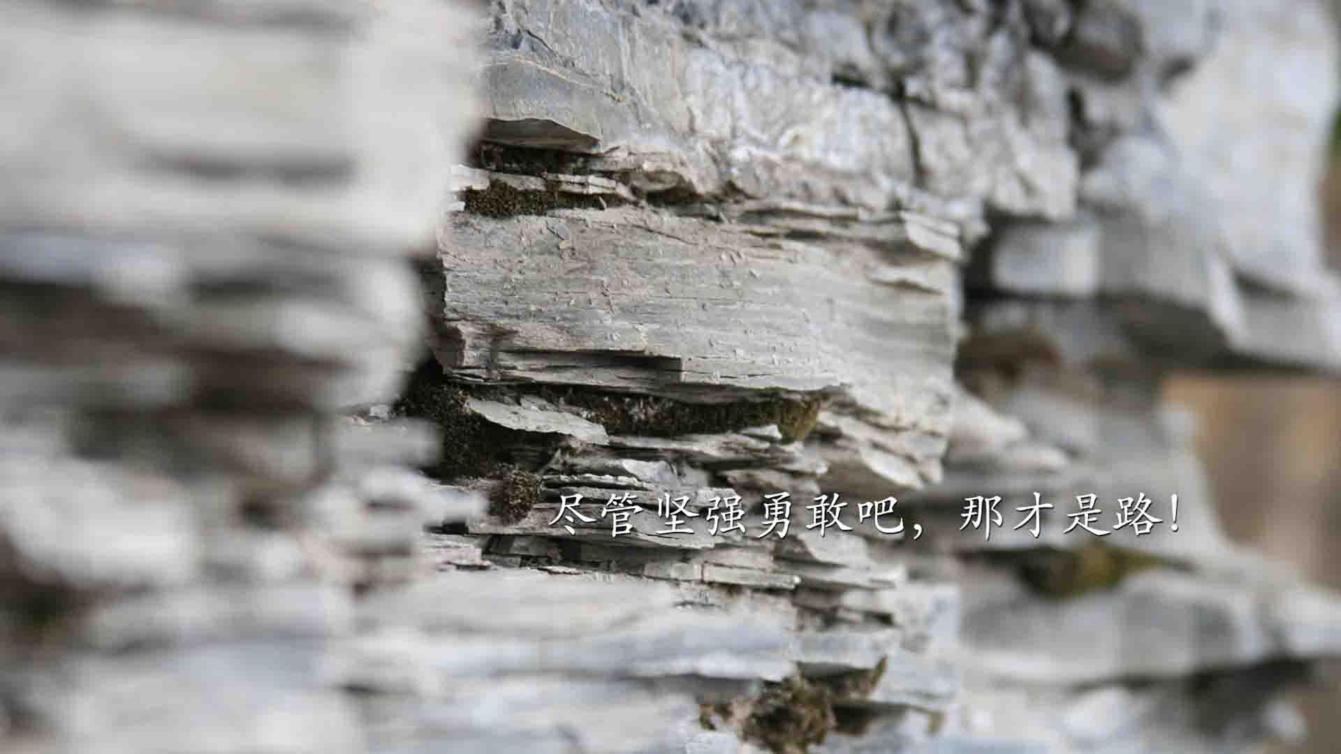 冬奥短道速滑中国队狂揽金牌,冬奥会短道速滑冠军男子