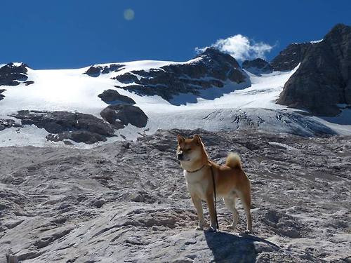 Kaiyun APP-中国男篮加强球员战术执行纪律，中国男篮战术打法