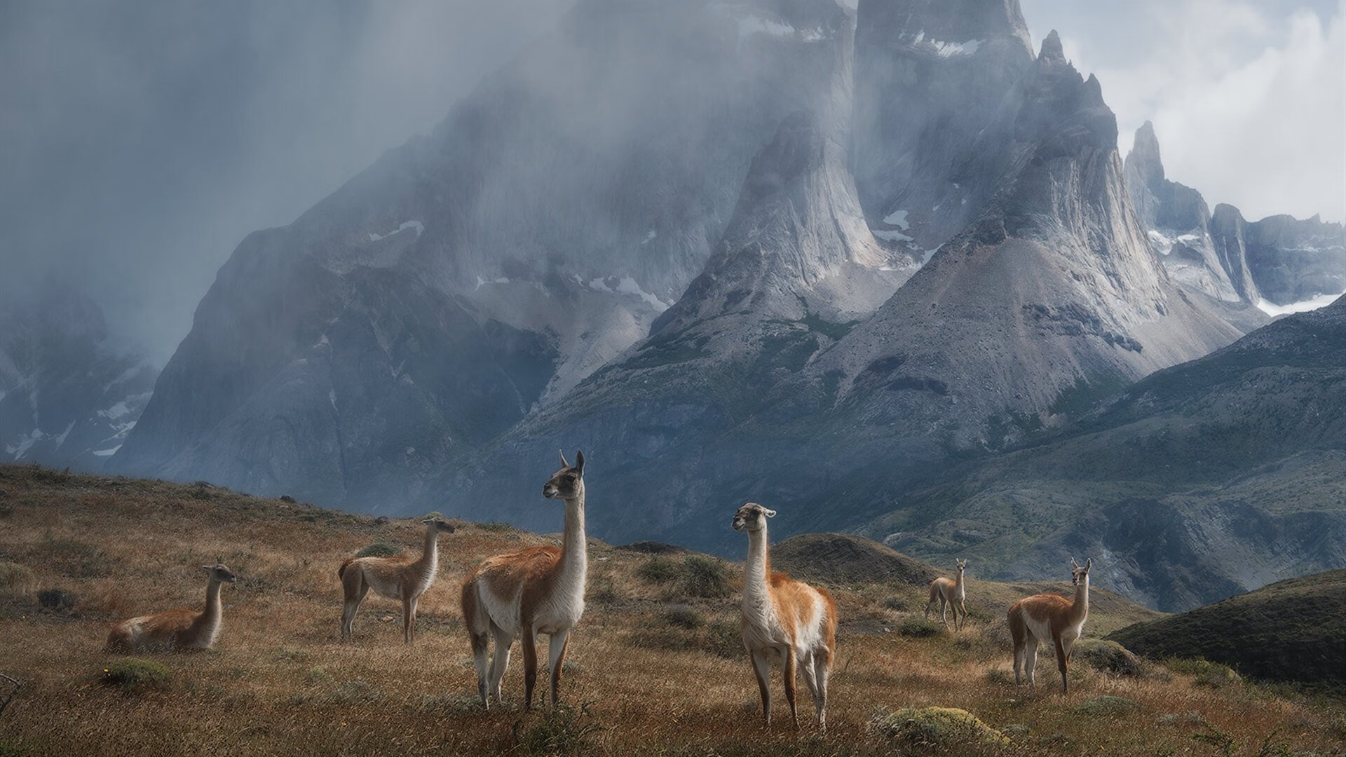 开云网页版-未来突破！澳大利亚乒乓球队如何应对国际强队的挑战，澳大利亚乒乓球水平怎么样