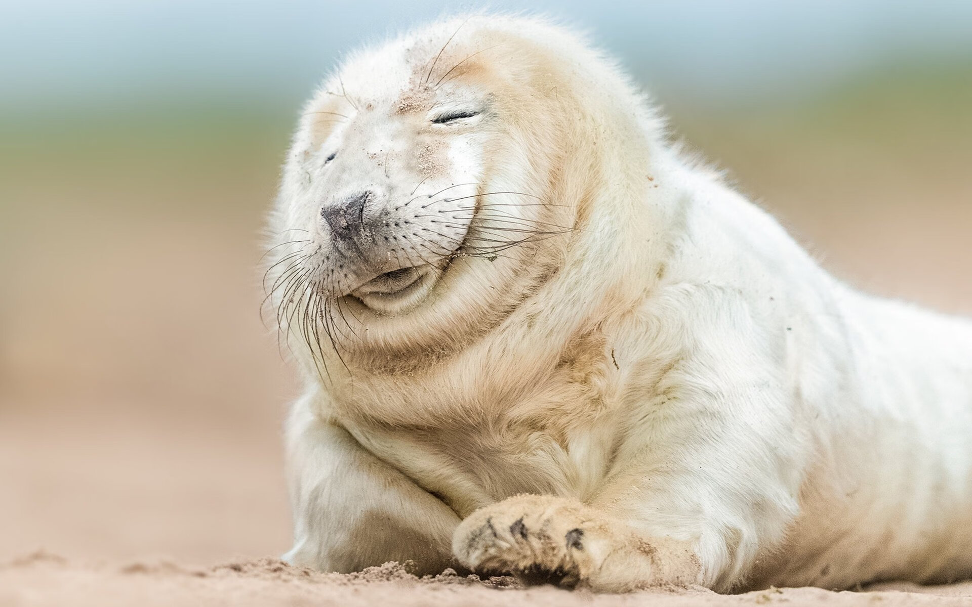 开云kaiyun-世界杯万人空巷：足球盛宴掀起狂潮，世界杯足球赛如火如荼地进行