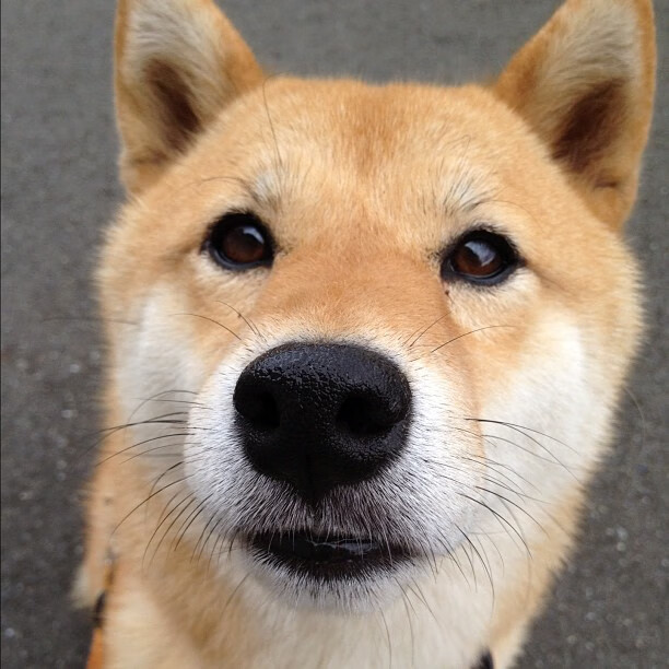 开云·Kaiyun网页版-中国足球职业俱乐部开展赛后心理调节课程，足球心态