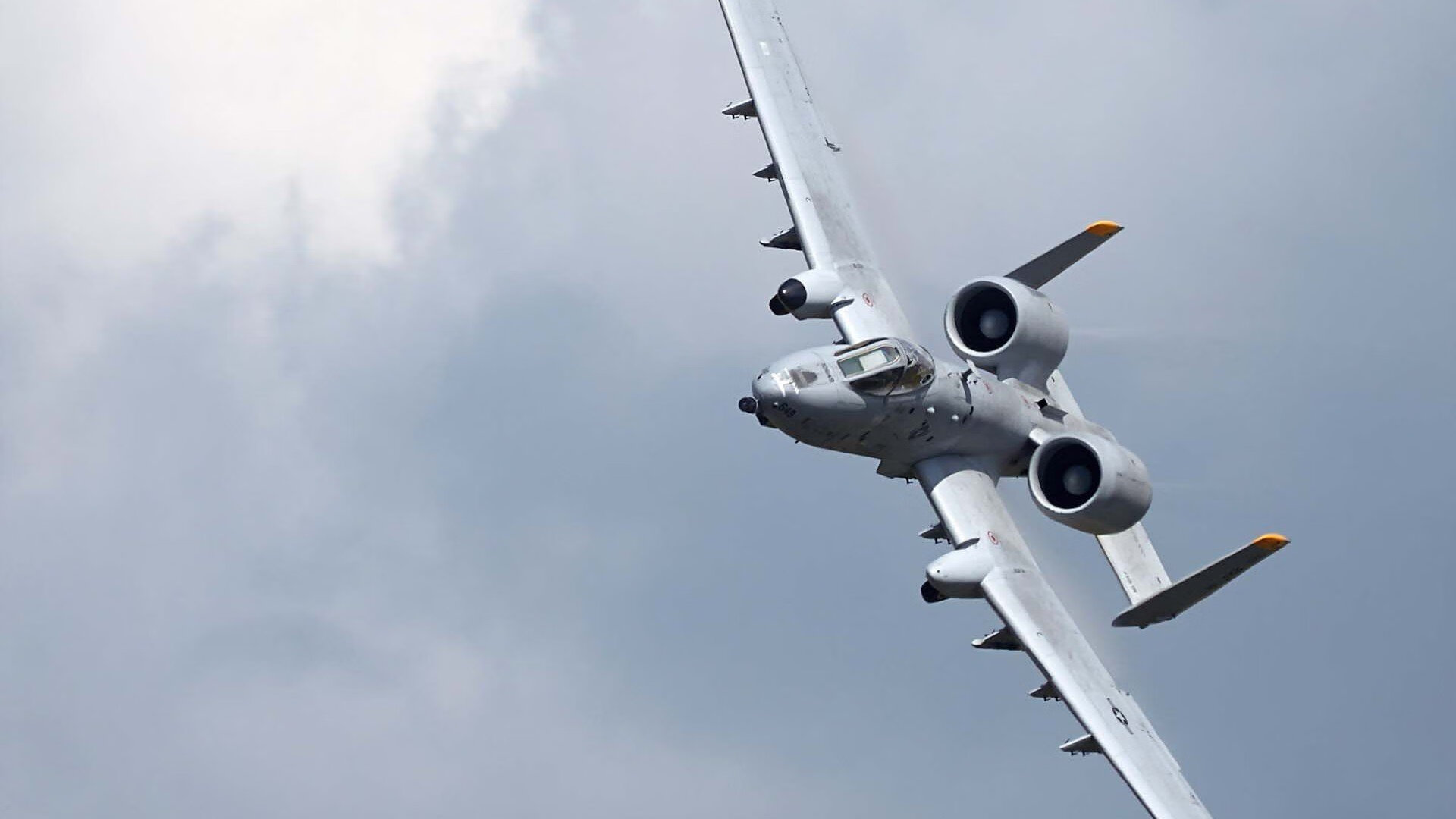 kaiyun体育app-塔特的全能表现提升了袋鼠队在橄榄球锦标赛的竞争力