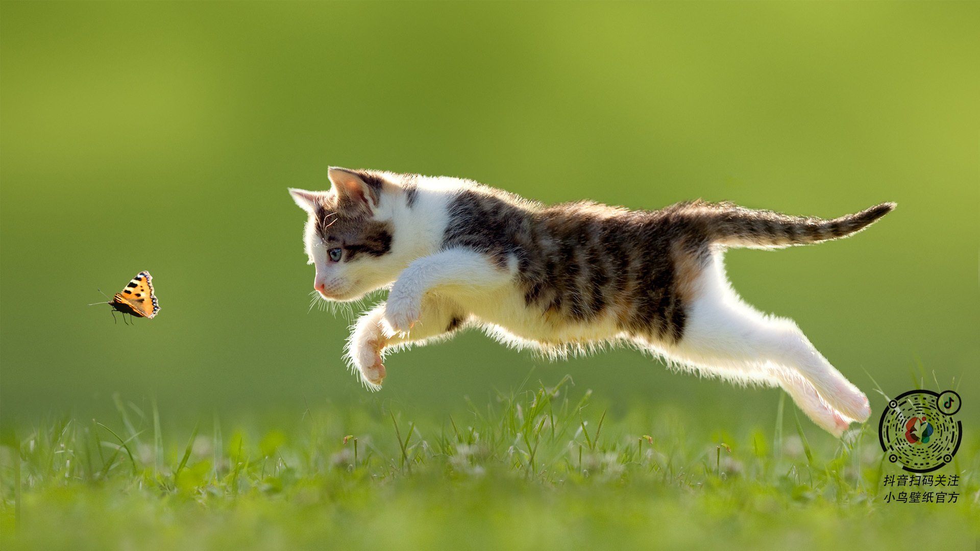 斯洛伐克男篮在欧洲排名持续提升,冲击国际舞台