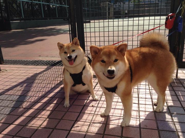 极限攀岩挑战 勇者的竞技场,极限攀岩纪录片男主角