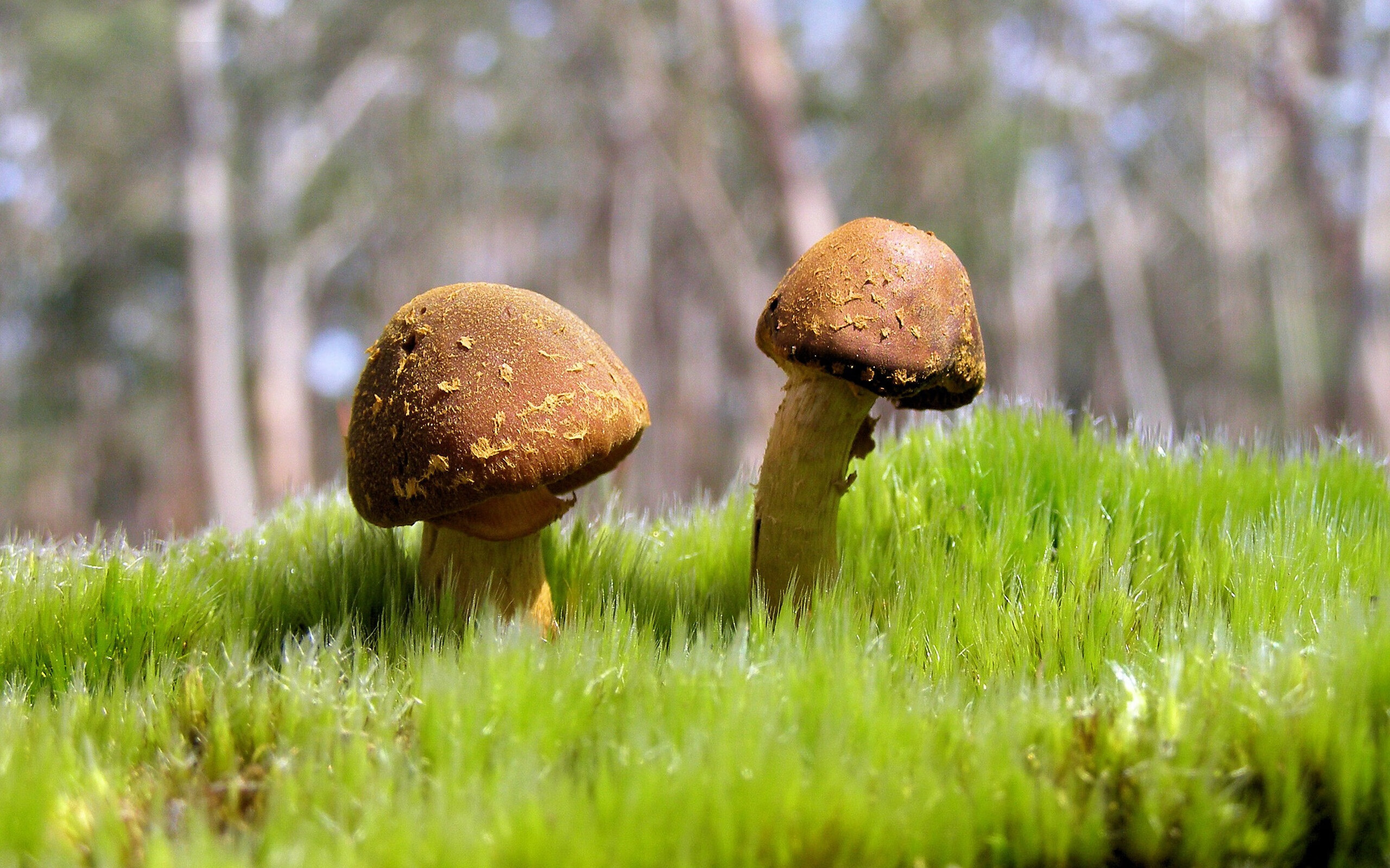 kaiyun官方入口登录-西甲精彩过人：突破防线惊呆全场！，西甲锦集