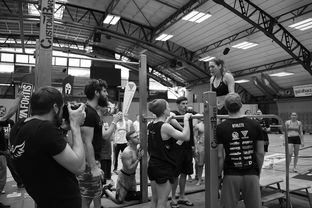 开云体育平台-“2025世界游泳锦标赛：水上芭蕾精彩纷呈，艺术之美与竞技并行”